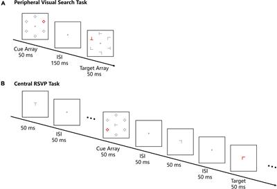 Distinct roles of theta and alpha oscillations in the process of contingent attentional capture